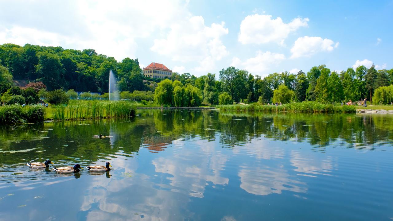 Schwaiger Отель